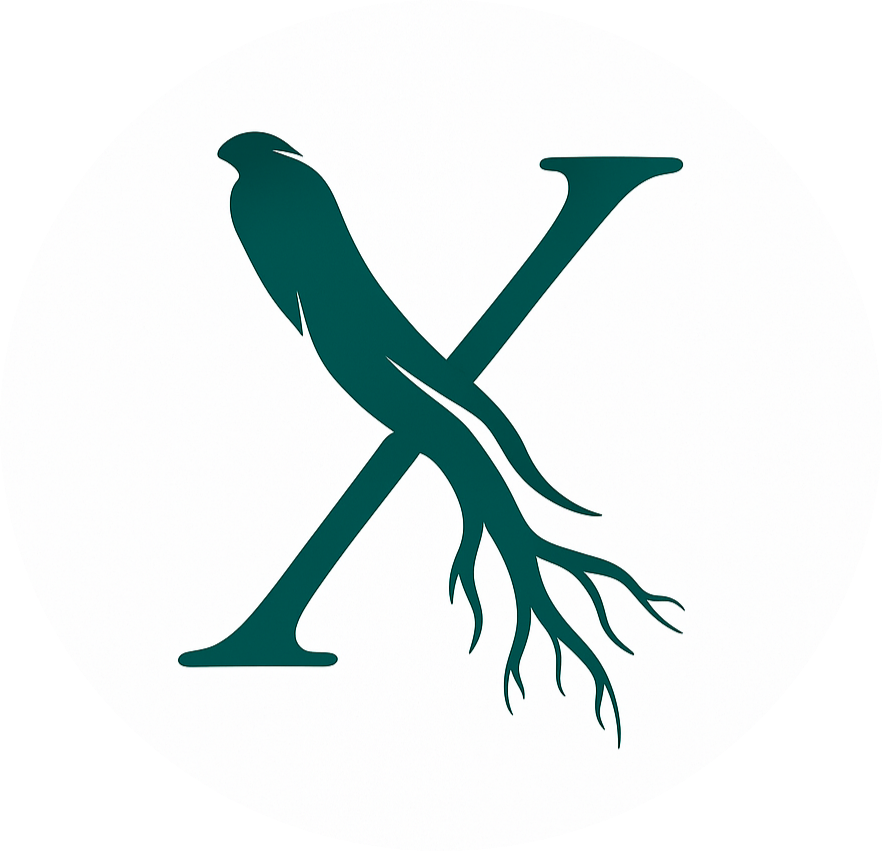 xia-app.pages.dev favicon